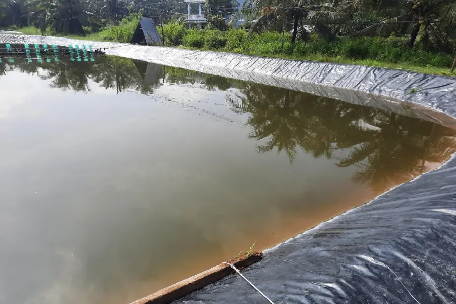 Anleitung zur Aufbereitung von Alaunwasser für die Fischzucht